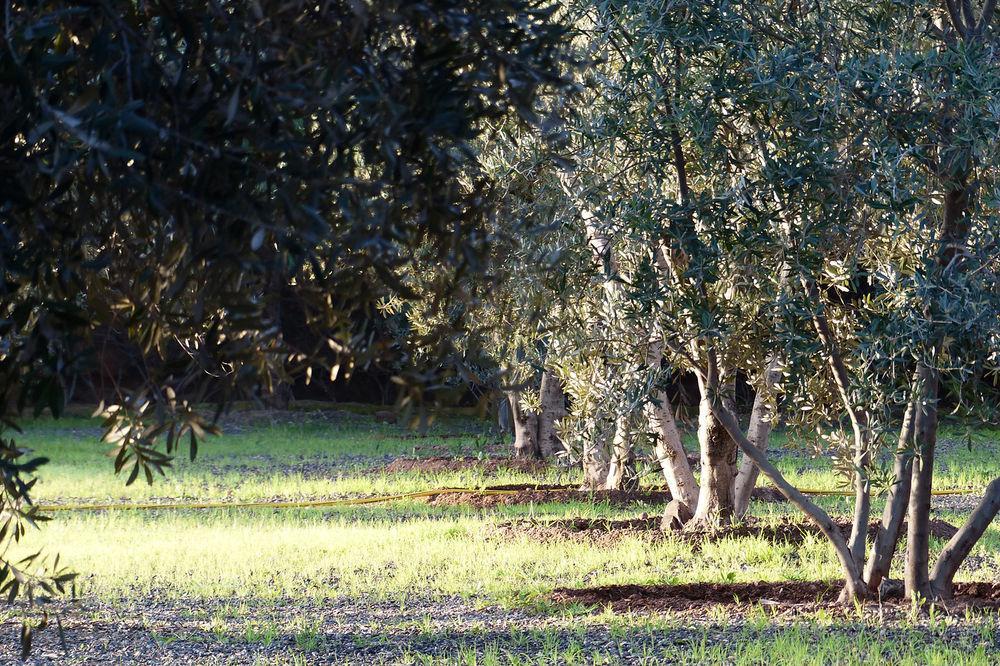 Le Cazar Ξενοδοχείο El Ain Εξωτερικό φωτογραφία